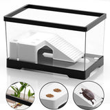 Maxbell Turtle Tank Bottom Drainage Terrapin Tortoise Enclosure Starter Indoor Decor Medium Black