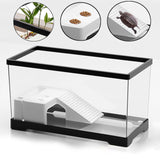 Maxbell Turtle Tank Bottom Drainage Terrapin Tortoise Enclosure Starter Indoor Decor Large Black