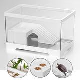Maxbell Turtle Tank Bottom Drainage Terrapin Tortoise Enclosure Starter Indoor Decor Medium White