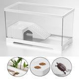 Maxbell Turtle Tank Bottom Drainage Terrapin Tortoise Enclosure Starter Indoor Decor Large White
