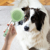 Maxbell Pet Grooming Brush Portable Pet Hair Cleaner Brush for Long Short Curly Hair green