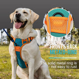 Maxbell Dog Harness with Leash Adjustable Soft with Front Clip for Dogs Pets Walking Orange Green M