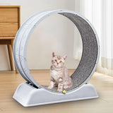 Maxbell Cat Wheel Exerciser 31.1 inch Noiseless Roller Cat Treadmill Wheel Exerciser grey