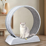 Maxbell Cat Wheel Exerciser 31.1 inch Noiseless Roller Cat Treadmill Wheel Exerciser grey