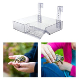 Maxbell Hanging Turtle Basking Platform Reptile Tank Ladder for Amphibians Tortoises S