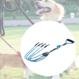 Maxbell Dog Leash Rope Sturdy Running Retractable Dog Leash for Large Medium Dog Pet 1 to 4 S