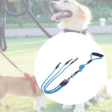 Maxbell Dog Leash Rope Sturdy Running Retractable Dog Leash for Large Medium Dog Pet 1 to three S