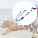 Maxbell Dog Leash Rope Sturdy Running Retractable Dog Leash for Large Medium Dog Pet 1 to three S