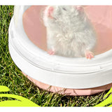 Maxbell 2x Hamster Carrier Cage Pet Outgoing Cage for Dwarf Hamster Outdoor Squirrel Pink