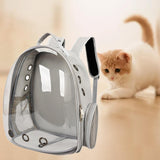 Maxbell Cat Backpack Carrier Cage Pet Travel Carrying Bag for Hiking Outdoor Walking gray