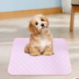 Maxbell Washable Dog Pee Pad Lightweight Thickness Cage Accessories Playpen Reusable M