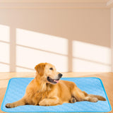 Maxbell Washable Dog Pee Pad Soft Waterproof Pet Training Pad for Bed Mat Dogs Crate L