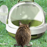 Maxbell Hamster Carry Case Cage Convenient Large for Hedgehog Vacation Small Animals green