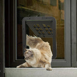 Maxbell Pet Screen Door for Doors and Wall Doggy with Screws 2 Ways Locking Cat Door L Black