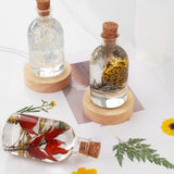 Maxbell LED Wood Display Base for 3D Glass Ball Arts Light Display Base for Kids Home Colorful