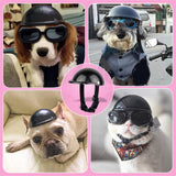 Maxbell Pet Helmet Adjustable Strap Adorable Dog Hard Hat for Hiking Small Dogs Cats L black