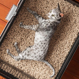 Maxbell Open Top Pet Litter Box Portable Bedpan Kitty Litter Pan Cat Toilet Sand Box gray