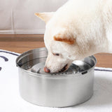 Maxbell Slow Drinking Bowl for Small Medium Large Dogs for Dog Cat Water Feeder Bowl