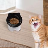 Maxbell Raised Cat Food Bowl Easy to Clean Dish Water Bowl for Kitten Small Dogs Black