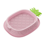 Maxbell Cat Grass Planter Soilless Hydroponics Planting Tray for Garden Cat Supplies Pink