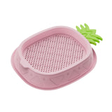Maxbell Cat Grass Planter Soilless Hydroponics Planting Tray for Garden Cat Supplies Pink