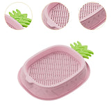 Maxbell Cat Grass Planter Soilless Hydroponics Planting Tray for Garden Cat Supplies Pink