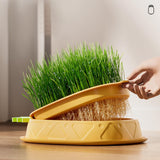 Maxbell Cat Grass Planter Soilless Hydroponics Planting Tray for Garden Cat Supplies Pink