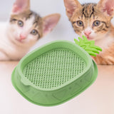 Maxbell Cat Grass Planter Soilless Hydroponics Planting Tray for Garden Cat Supplies Green