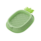 Maxbell Cat Grass Planter Soilless Hydroponics Planting Tray for Garden Cat Supplies Green