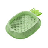 Maxbell Cat Grass Planter Soilless Hydroponics Planting Tray for Garden Cat Supplies Green