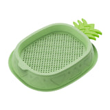 Maxbell Cat Grass Planter Soilless Hydroponics Planting Tray for Garden Cat Supplies Green