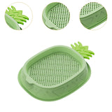 Maxbell Cat Grass Planter Soilless Hydroponics Planting Tray for Garden Cat Supplies Green