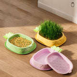 Maxbell Cat Grass Planter Soilless Hydroponics Planting Tray for Garden Cat Supplies Green
