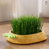Maxbell Cat Grass Planter Soilless Hydroponics Planting Tray for Garden Cat Supplies Green