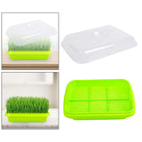 Maxbell Seed Sprouter Tray Versatile Cat Grass Planter Tray for Home Garden Planting Clear Insulation Lid