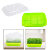 Maxbell Seed Sprouter Tray Versatile Cat Grass Planter Tray for Home Garden Planting Clear Insulation Lid