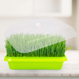 Maxbell Seed Sprouter Tray Versatile Cat Grass Planter Tray for Home Garden Planting Clear Insulation Lid