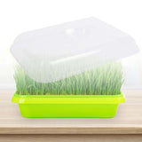 Maxbell Seed Sprouter Tray Versatile Cat Grass Planter Tray for Home Garden Planting Clear Insulation Lid