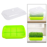 Maxbell Seed Sprouter Tray Versatile Cat Grass Planter Tray for Home Garden Planting Clear Insulation Lid