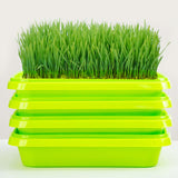 Maxbell Seed Sprouter Tray Versatile Cat Grass Planter Tray for Home Garden Planting Green Tray Deepened