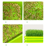 Maxbell Seed Sprouter Tray Versatile Cat Grass Planter Tray for Home Garden Planting Green Tray Deepened