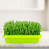 Maxbell Seed Sprouter Tray Versatile Cat Grass Planter Tray for Home Garden Planting Green Tray Deepened