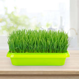 Maxbell Seed Sprouter Tray Versatile Cat Grass Planter Tray for Home Garden Planting Green Tray Deepened