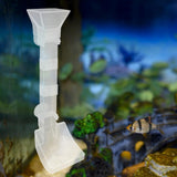 Maxbell Shrimp Feeding Dish Sturdy Aquarium Fish Feeder Tube for Spiders Fish Shrimp 38cm