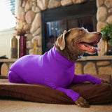 Maxbell Dogs Bodysuit Full Body Shed Suit Elastic Lightweight Dog Apparel Dog