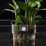 Maxbell Aquarium Plant Holder Hollow Design Cultivation Small Plant Holder with Hook