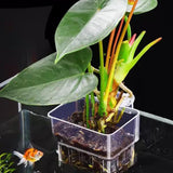 Maxbell Aquarium Plant Holder Hollow Design Cultivation Small Plant Holder with Hook