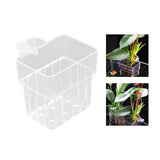 Maxbell Aquarium Plant Holder Hollow Design Cultivation Small Plant Holder with Hook