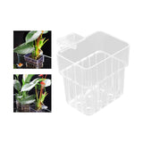 Maxbell Aquarium Plant Holder Hollow Design Cultivation Small Plant Holder with Hook