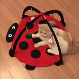 Maxbell Cat Tent Bed Toy Multifunctional for Kitten Puppy Pets Nest Bell Pet Toy Fun